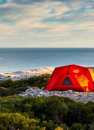 Exploring Camping in Bay of Plenty: Nature’s Paradise Exploring Camping in Bay of Plenty: Nature’s Paradise